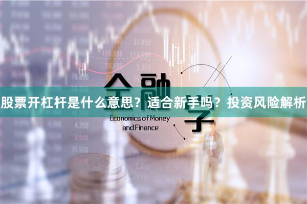 股票开杠杆是什么意思？适合新手吗？投资风险解析